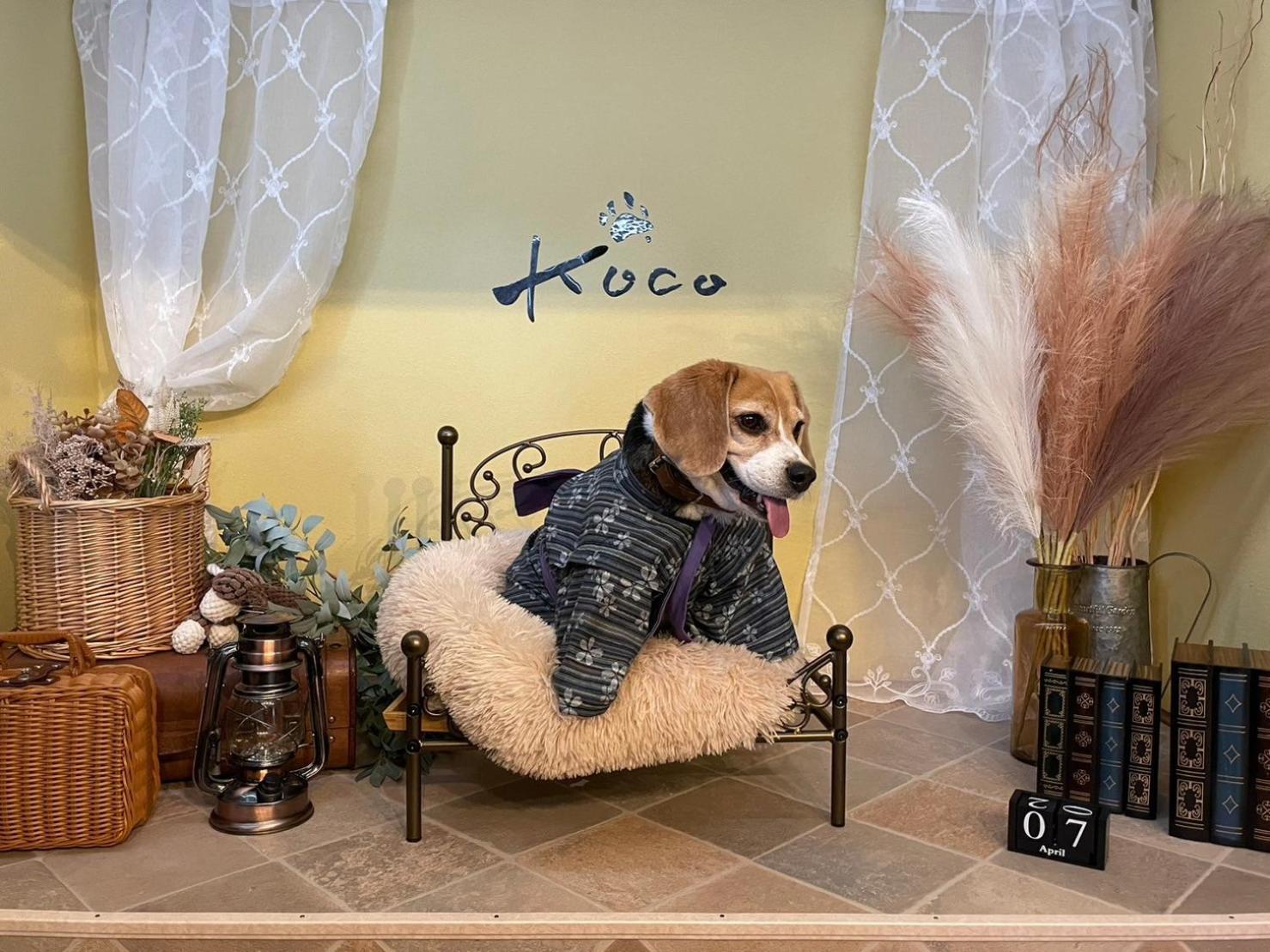 Koco伊豆高原 Villa Ito  Exteriör bild
